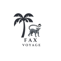 Fax Voyage