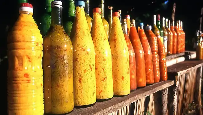 La Gastronomie Malgache : Saveurs et Spécialités de l'Île