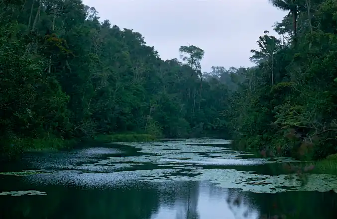 RN3A — L'Aventure du Nord-Est